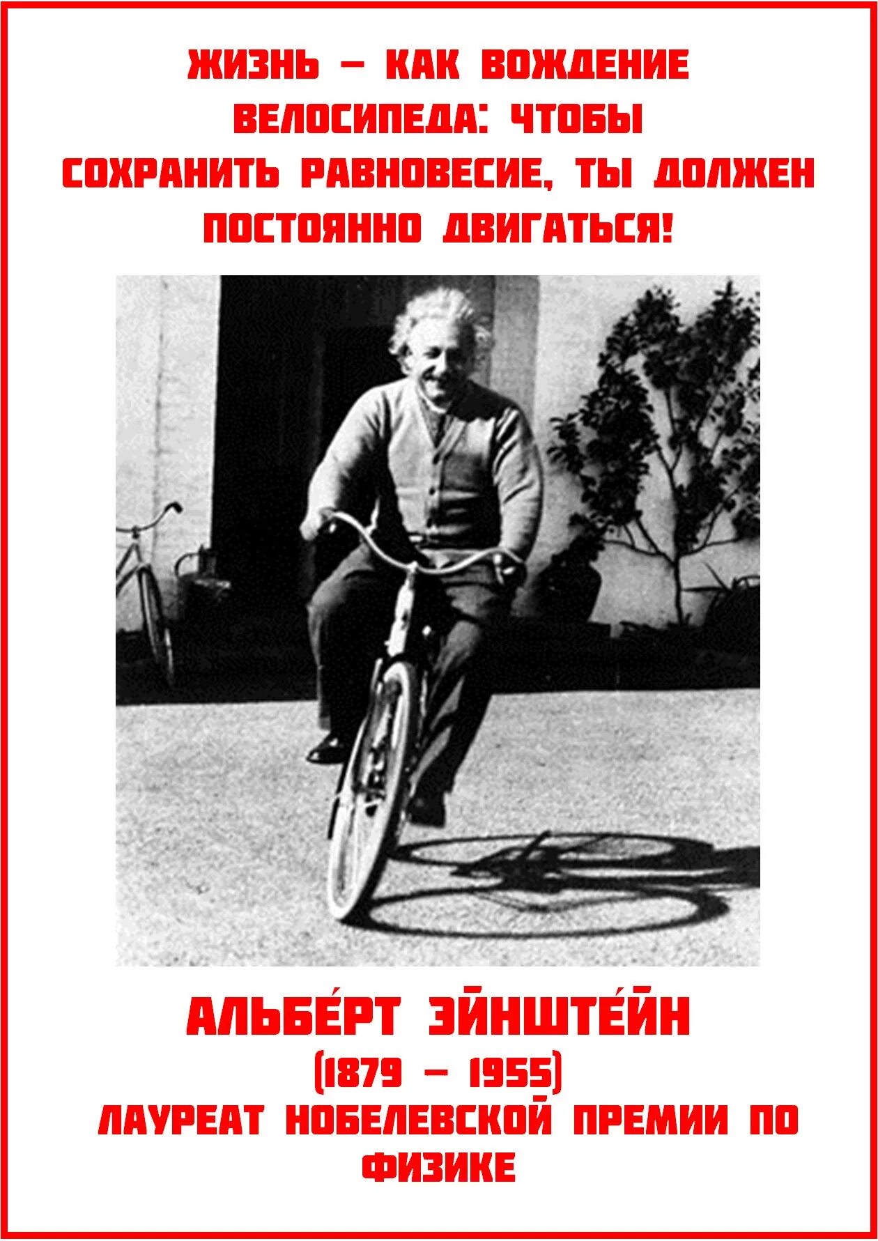 Жизнь постоянное движение. Жизнь как вождение велосипеда. Эйнштейн на велосипеде. Велосипед цитаты и афоризмы. Высказывания про велосипед.