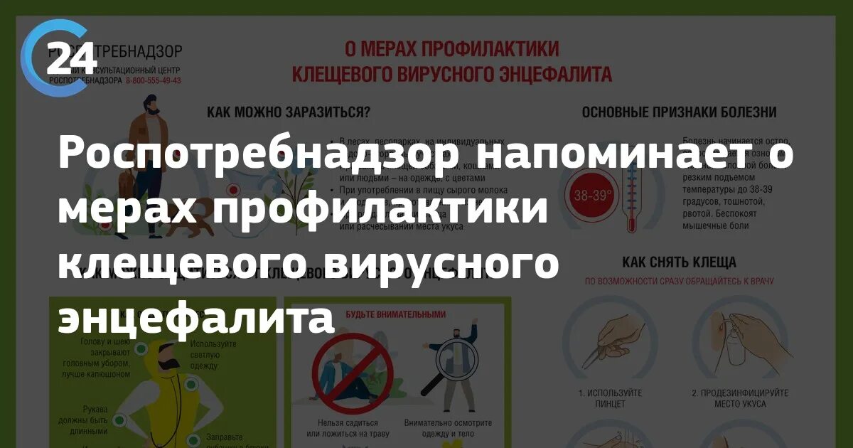 Профилактика клещевых инфекций тесты нмо. Профилактика энцефалита. Профилактика клещевых инфекций. Профилактика клещевого энцефалита. Профилактика клещевого вирусного энцефалита.