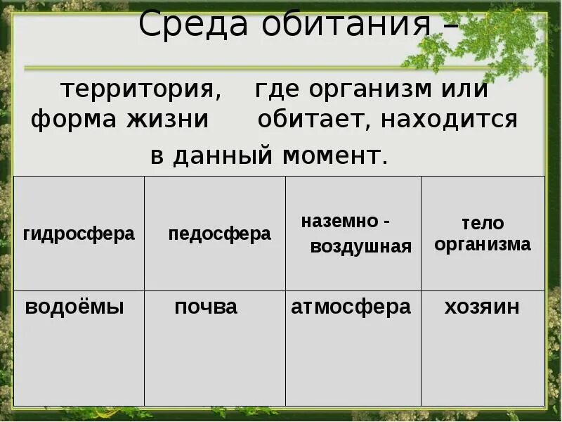 Каковы особенности обитания живых организмов. Среды жизни обитания. Естественно среда обитания?. Форма жизни среда обитания. В какой среде обитания обитают грибы.