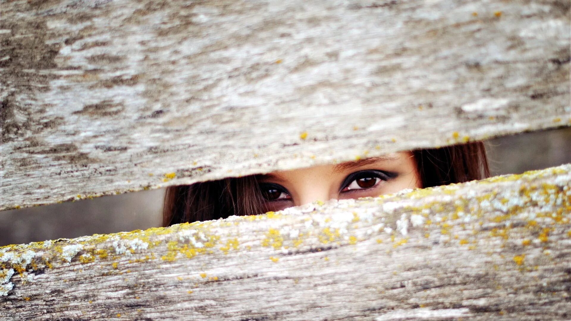 Подглядываем глазком. Девушка выглядывает из-за. Выглядывает из за забора. Щель в заборе. Заглядывает в забор.