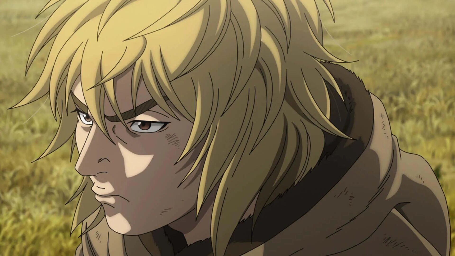 Thorfinn vinland saga. Винланд сага торфин. Винландия. Винланд сага торфин. Сага о винланде.