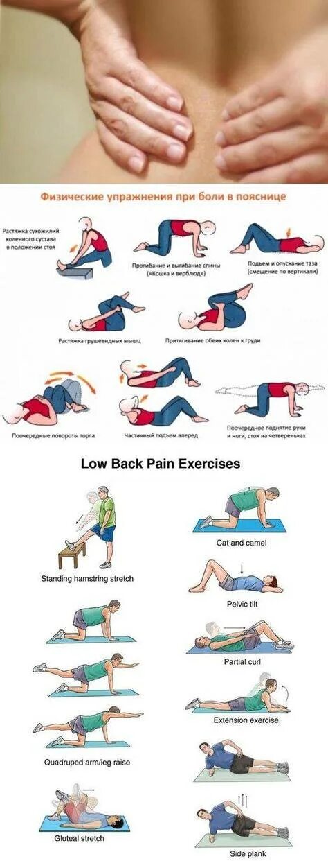От боли в пояснице упражнения домашних условиях. Упражнения для поясницы. Гимнастика при болях в спине. Упражнения на спину. Упражнения для больной поясницы.