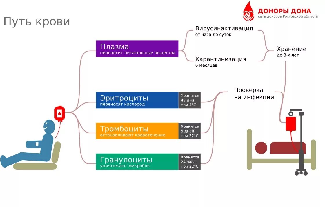 Ростов донор крови. Карантинизация плазмы крови. Оптимальные сроки «карантинизации» компонентов крови:. Карантин донорской крови. Сроки карантина крови.