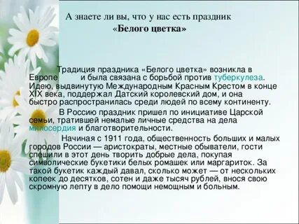 Белый день ромашка