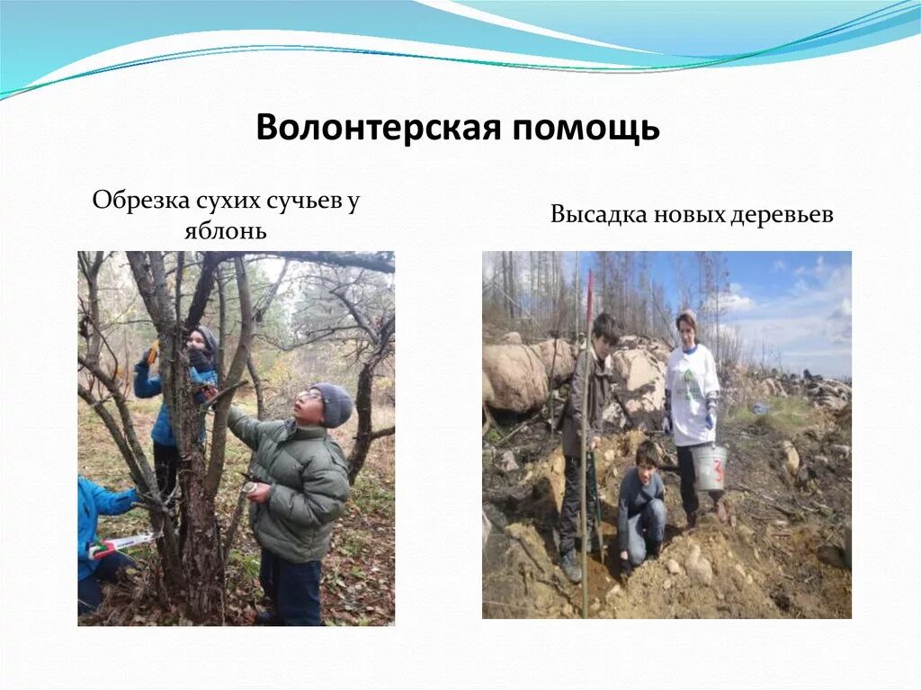 На сухих сучках любят сидеть