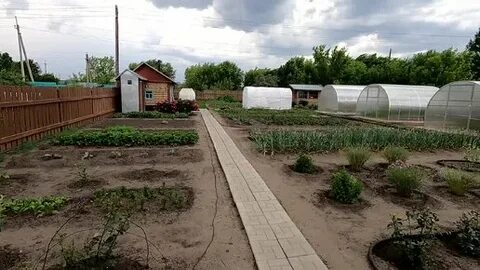 Барнаул огороде