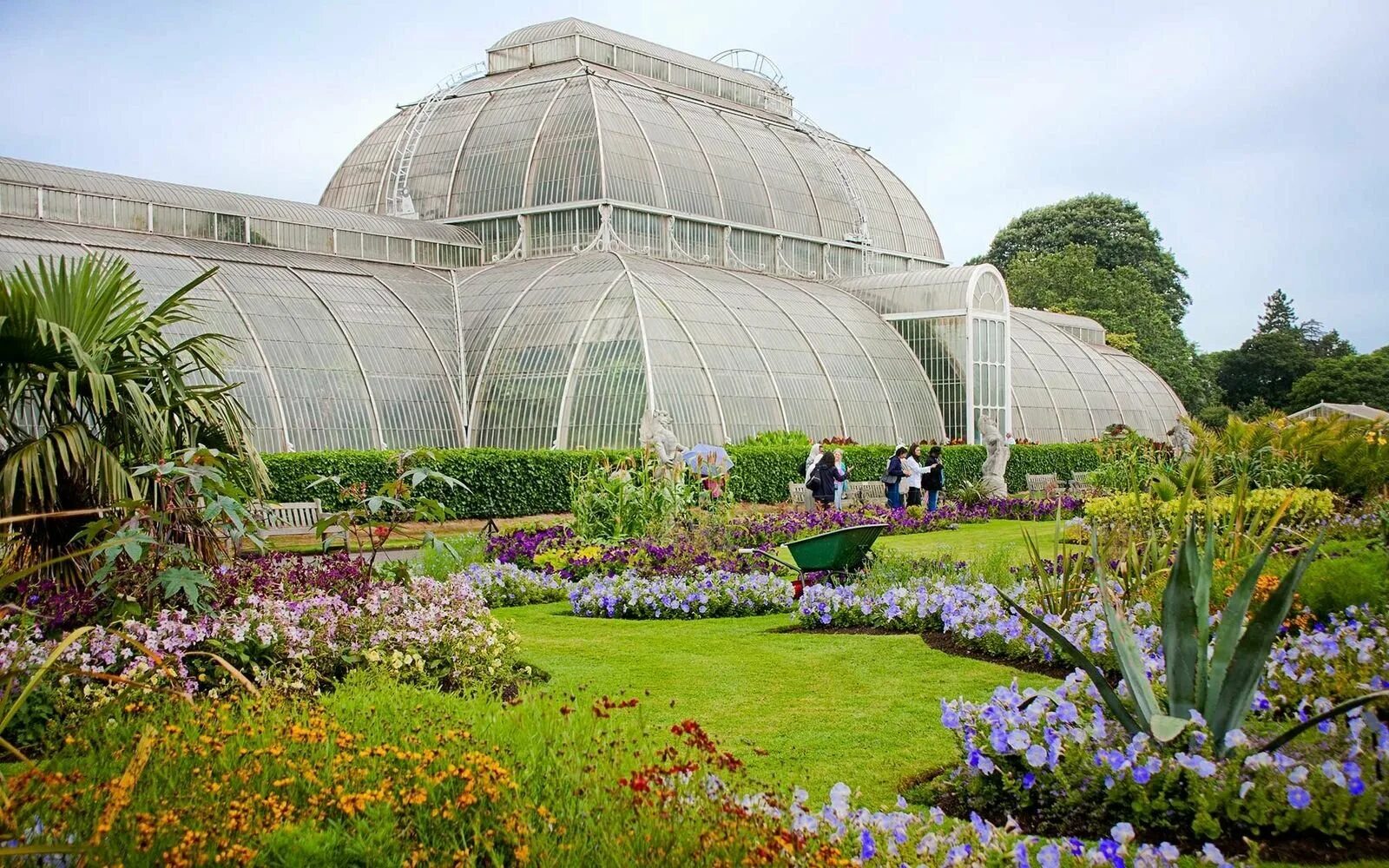 Оранжерея ботанического сада Минск. Шенбрунн пальмовая оранжерея. Kew Gardens – Royal Botanic Gardens. Ботанический сад Петра Великого оранжерея. Мишкины сады