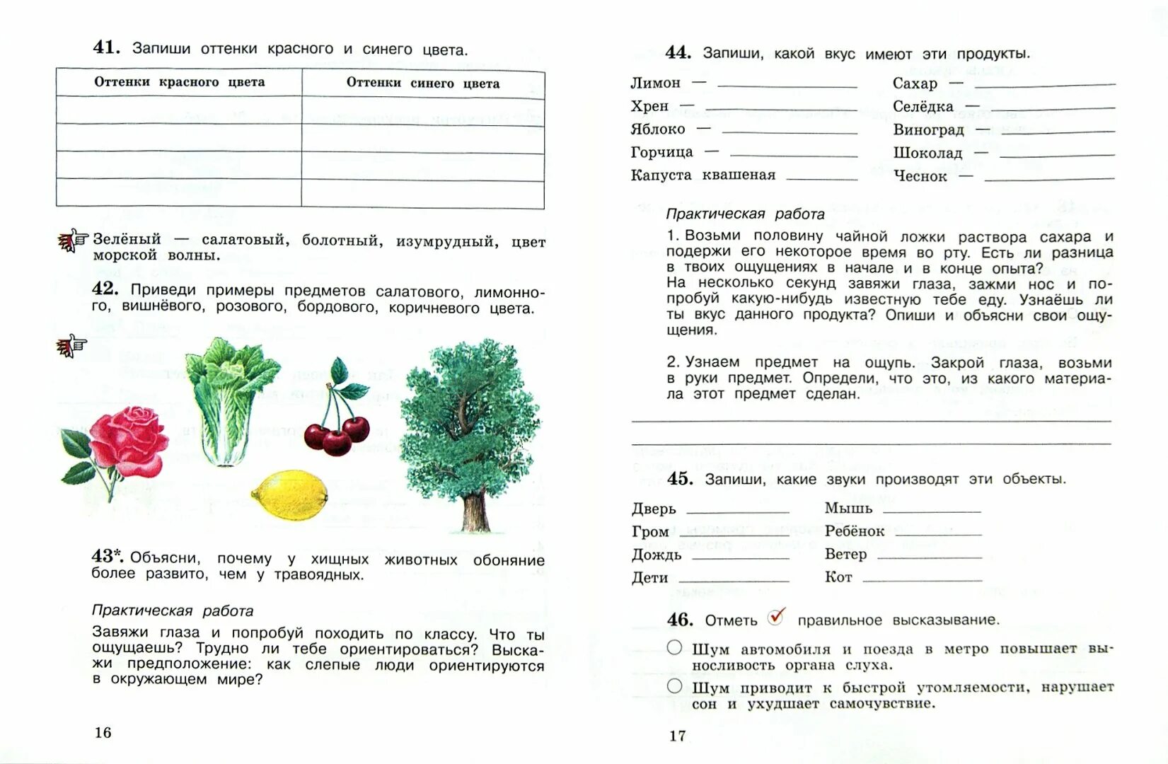 Окружающий мир 4 класс рабочая тетрадь 1 часть Виноградова. Тетрадь по окружающему миру 1 класс Виноградова 2. Окружающий мир 3 класс рабочая тетрадь 1 часть Виноградова. Тетрадь по окружающему миру 3 класс Виноградова. Виноградова 3 класс проверочные