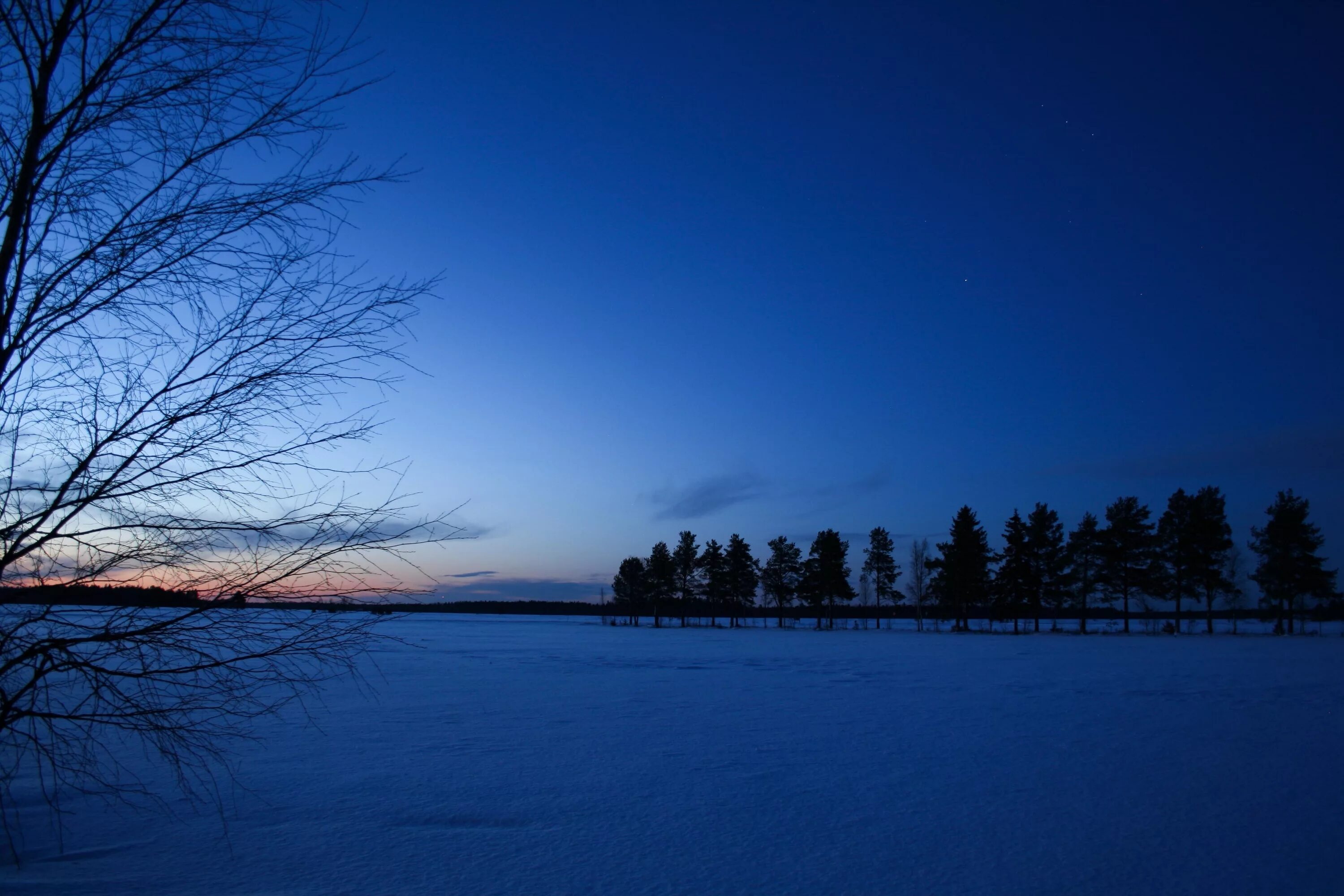 Вечера синь. Зимние Сумерки. Ночное зимнее поле. Зимнее вечернее небо. Сумерки пейзаж.