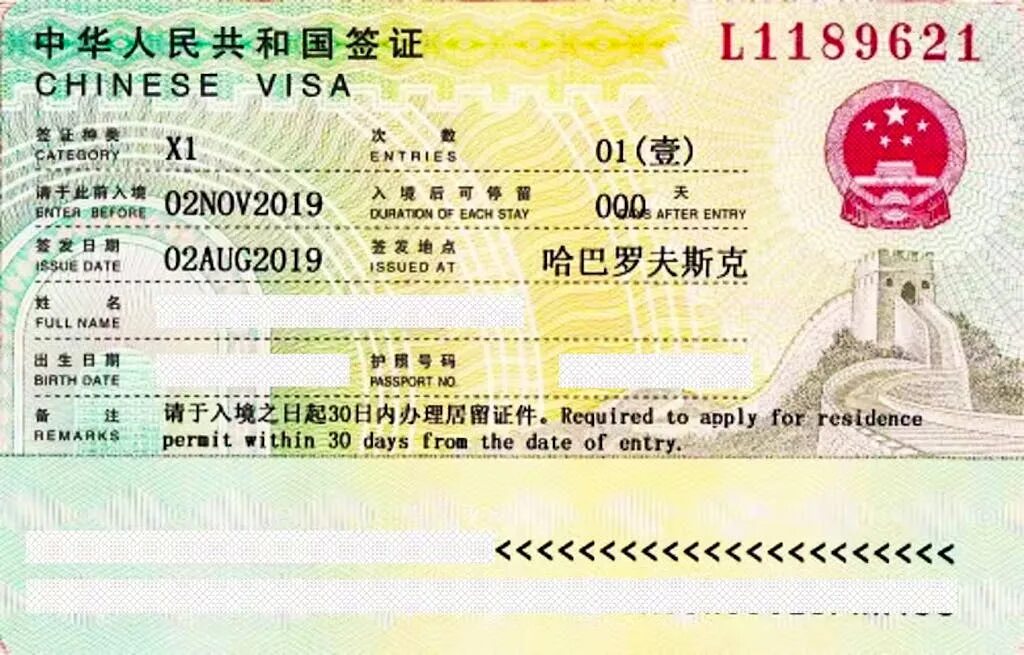Нужна виза в японию для россиян 2024. Виза в Китай. Х1 китайская виза. Тайская виза. Виза x1.