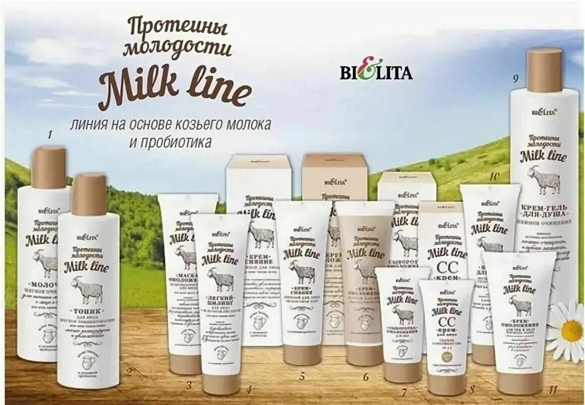 Косметика белита купить. Milk line / протеины молодости. Бел Milk line протеины молодости. Белита Milk line - протеины молодости крем. Белита Милк лайн протеины молодости.