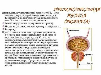 Выделение у мужчин почему