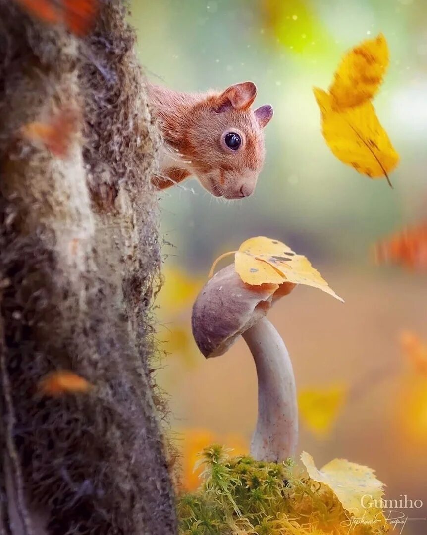 природа и животные. весна животные. доброе утро животные. доброе утро животные весна. забавная весна.