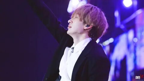 King kpop