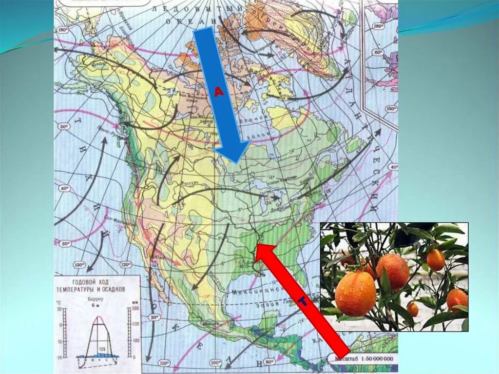 Какая температура в северной америке. Климат Северной Америки карта. Климатическая карта Северной Америки 7 класс. Умеренный климатический пояс Северной Америки. Воздушные массы Северной Америки на карте.