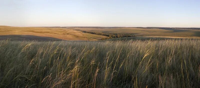 родные степи (1981). заволжские степные сыртовые равнины. орск степи. степи саратовской области. серноводский шихан самарская область.