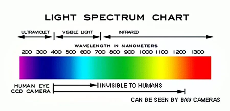 Спектр свет купить. Light Spectrum. Visible Light Spectrum. Свет спектр. Spectrum Chart.