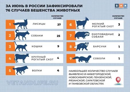 Сколько зараженных животных