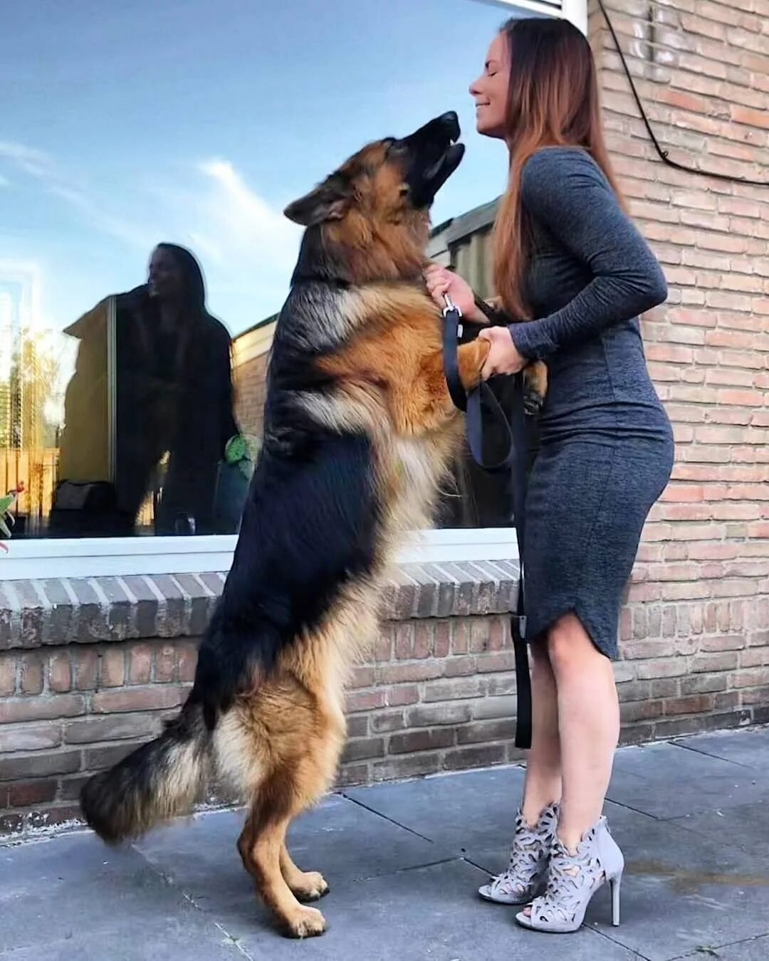 Около хозяев