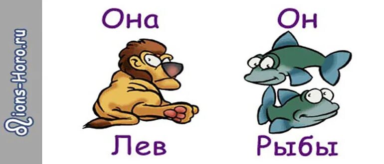 Лев и рыбы проценты