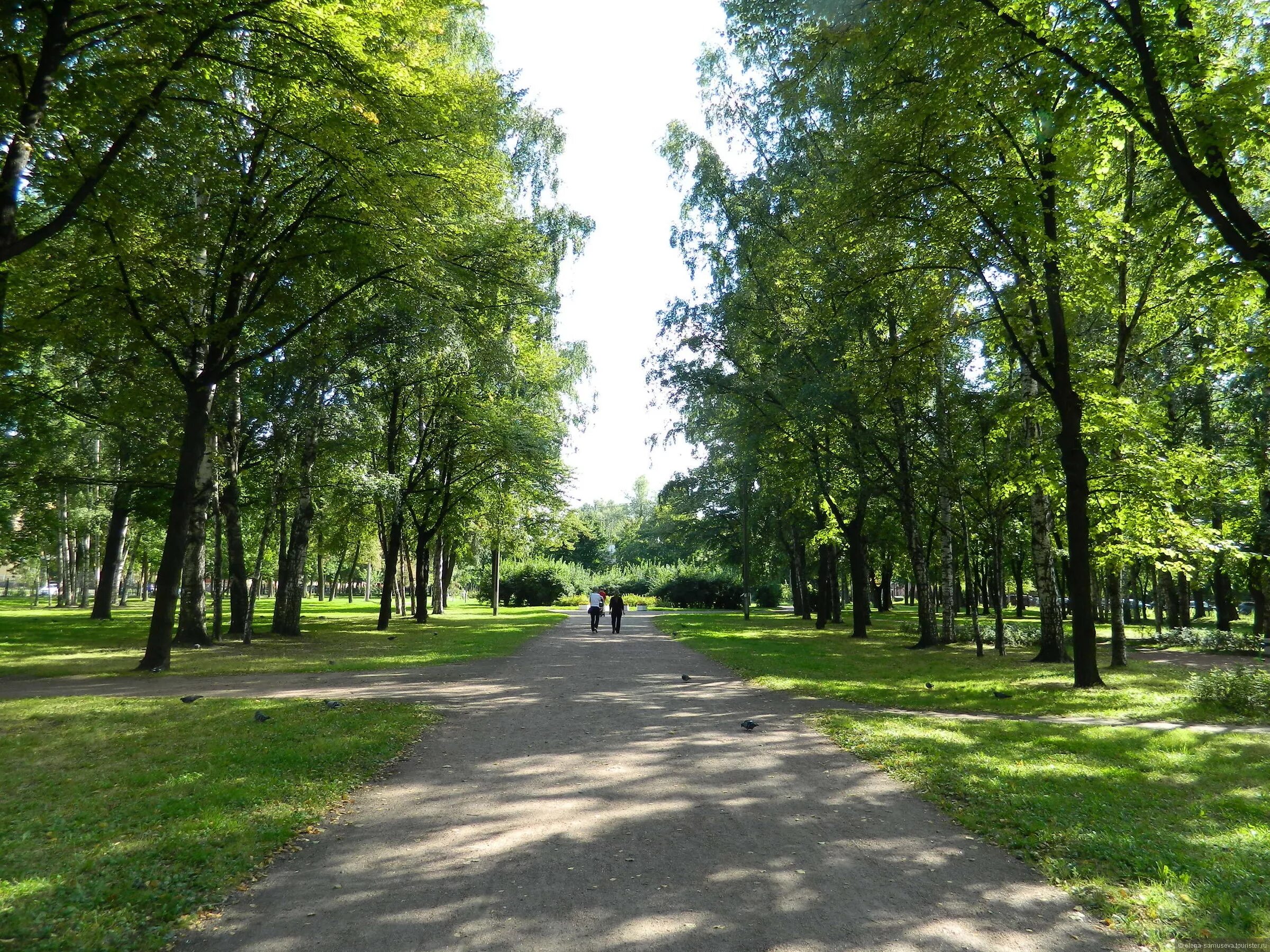 Сад Василеостровец, park, Saint Petersburg, Vasileostrovets Garden - Yandex Maps