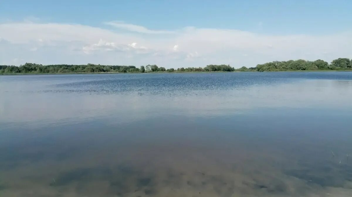 Пруд верхняя хава. Пруд сельхозтехника верхняя хава. Верхняя хава воронеж пруд. Пруд сельхозтехника воронежская. Пруд верхняя хава.