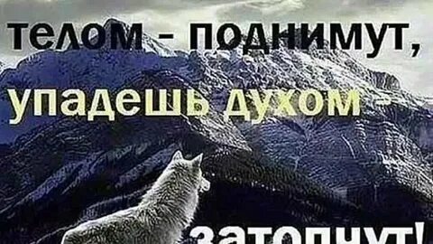 Падаю поднимай