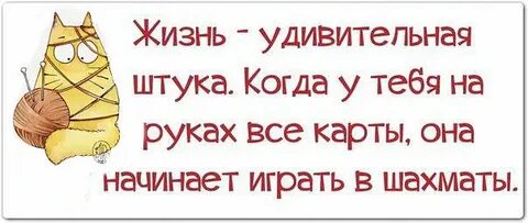 Жизнь штука тонкая