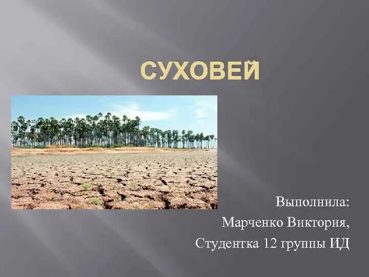 Районы суховеев. Презентация Суховей. Суховеи в России. Суховей классификация. Суховей это в географии.