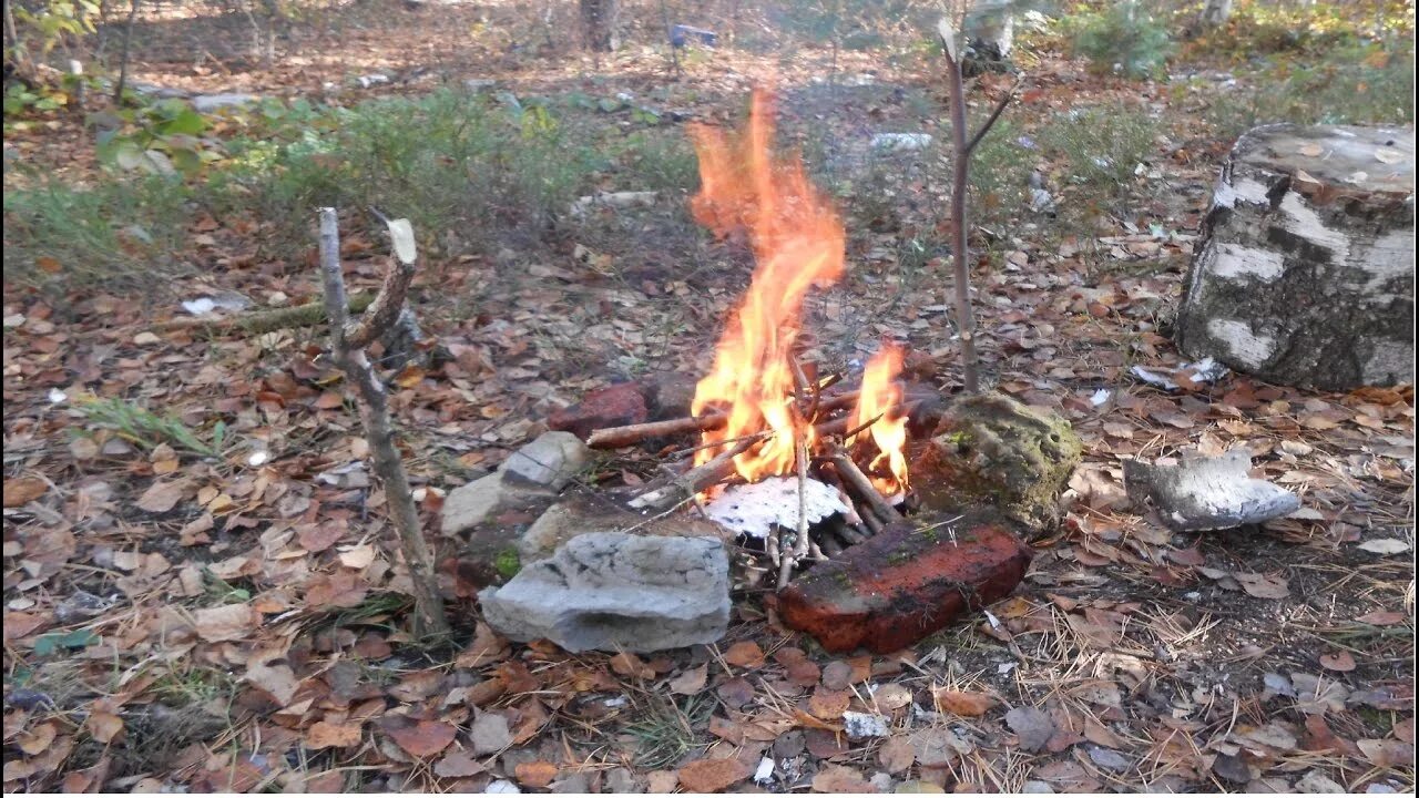 Можно ли жечь ветки на своем участке. Кострище в лесу. Костер в лесу. Жечь костер. Непогашенный костер.