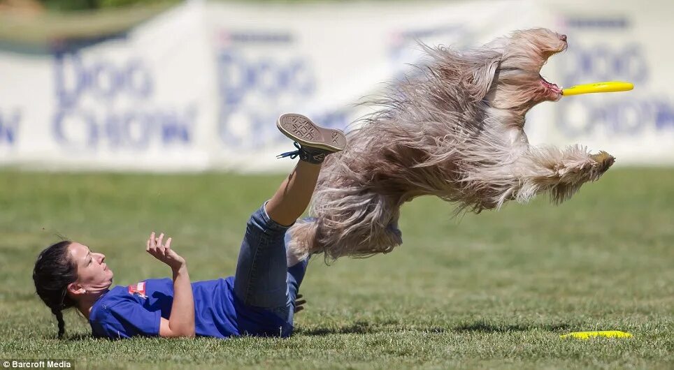 Интересные кадры. Супер смешные фото. Ребенок уронил мороженое. Забавные стоп кадры. Самые улетные картинки.