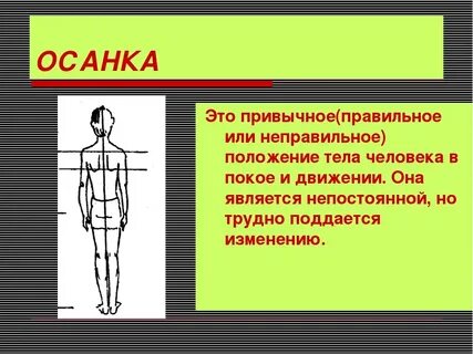 Правильное положение тела человека это