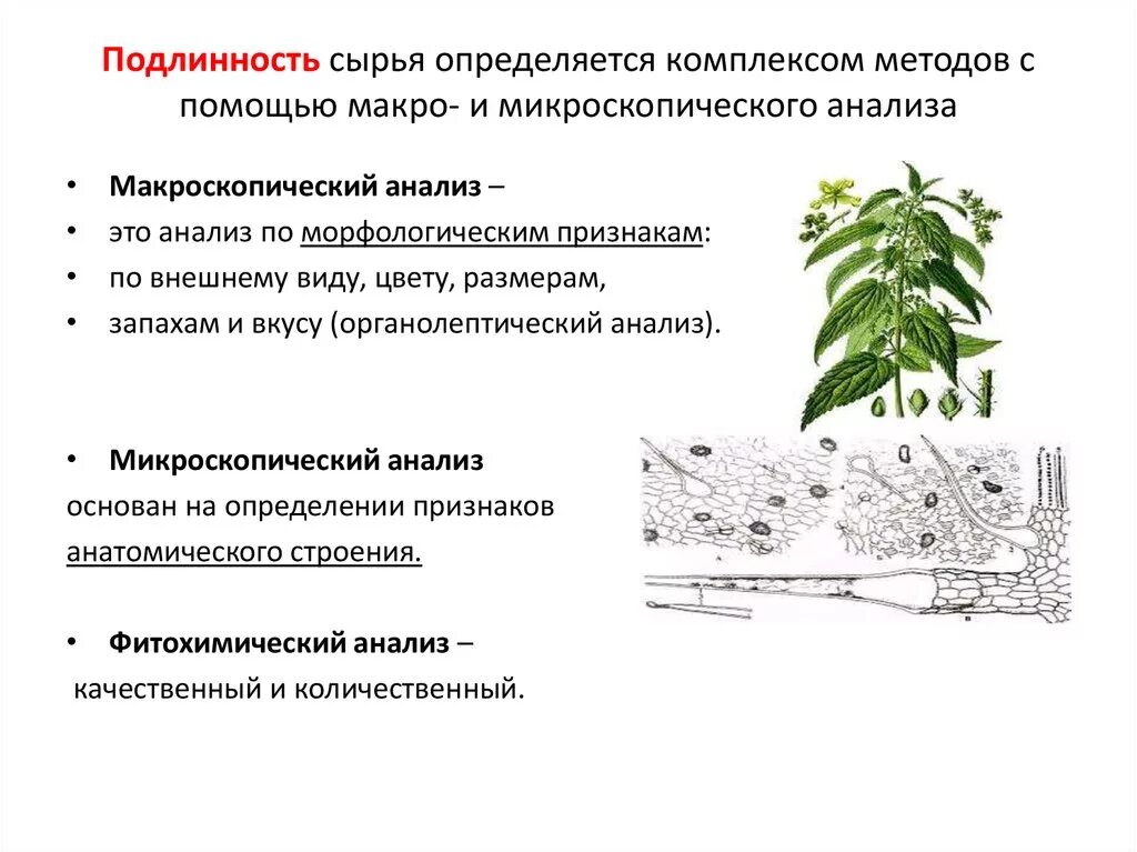 Достоверность определяется