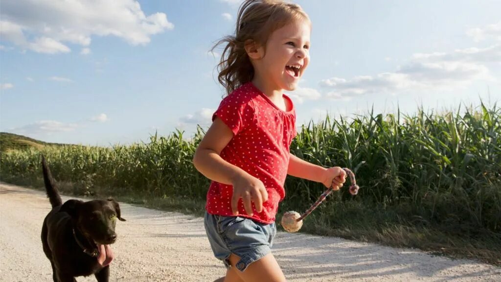 Прогулка с собакой. Девочка с собакой. Девушка убегает от собаки. Акита-ину. Девушка убегает от собаки.
