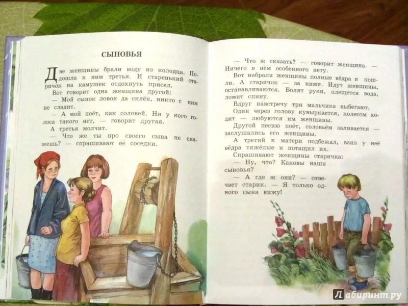 Рассказ про сыновей. Книжка сыновья Осеева. Осеева сыновья иллюстрации. Рассказы, Осеева в.. Рассказ сыновья Осеева.