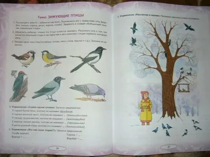 Зимующие птицы задания логопеда