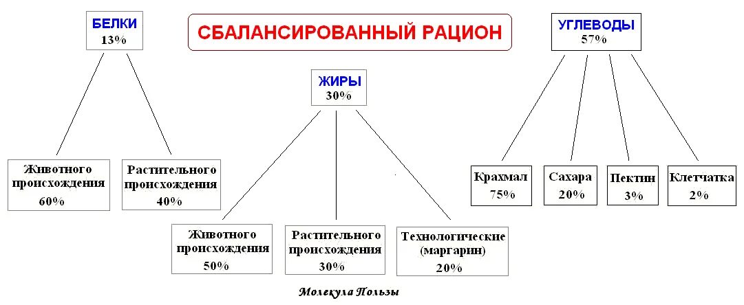 Соотношение белков в питании. Сбалансированное питание белки жиры углеводы соотношение. Сбалансированное соотношение белков жиров и углеводов в рационе. Соотношение белков жиров и углеводов в пищевом рационе. Схема соотношение белков жиров и углеводов.