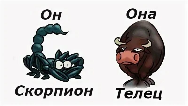 Совместимость знаков зодиака скорпион мужчина телец женщина. Совместимость скорпион и телец мужчина. Телец совместимость. Совместимость знаков зодиака в любви. Телец и скорпион.