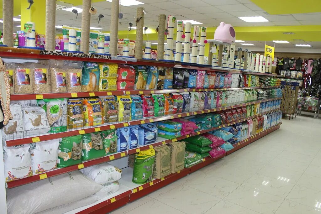Fluffy store. Пушистый друг южно сахалинск интернет. Пушистый друг южно-сахалинск. Зоомагазин тц рояль. Пушистики логотип.