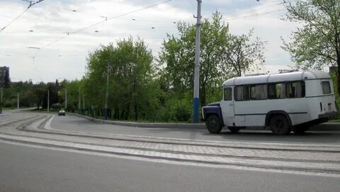 Черное енакиево