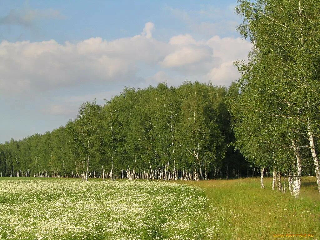 Рязанские раздолья. Глуховское раздолье фото. Рязанское раздолье есенин. Раздолье рязань. Раздолье рязань.