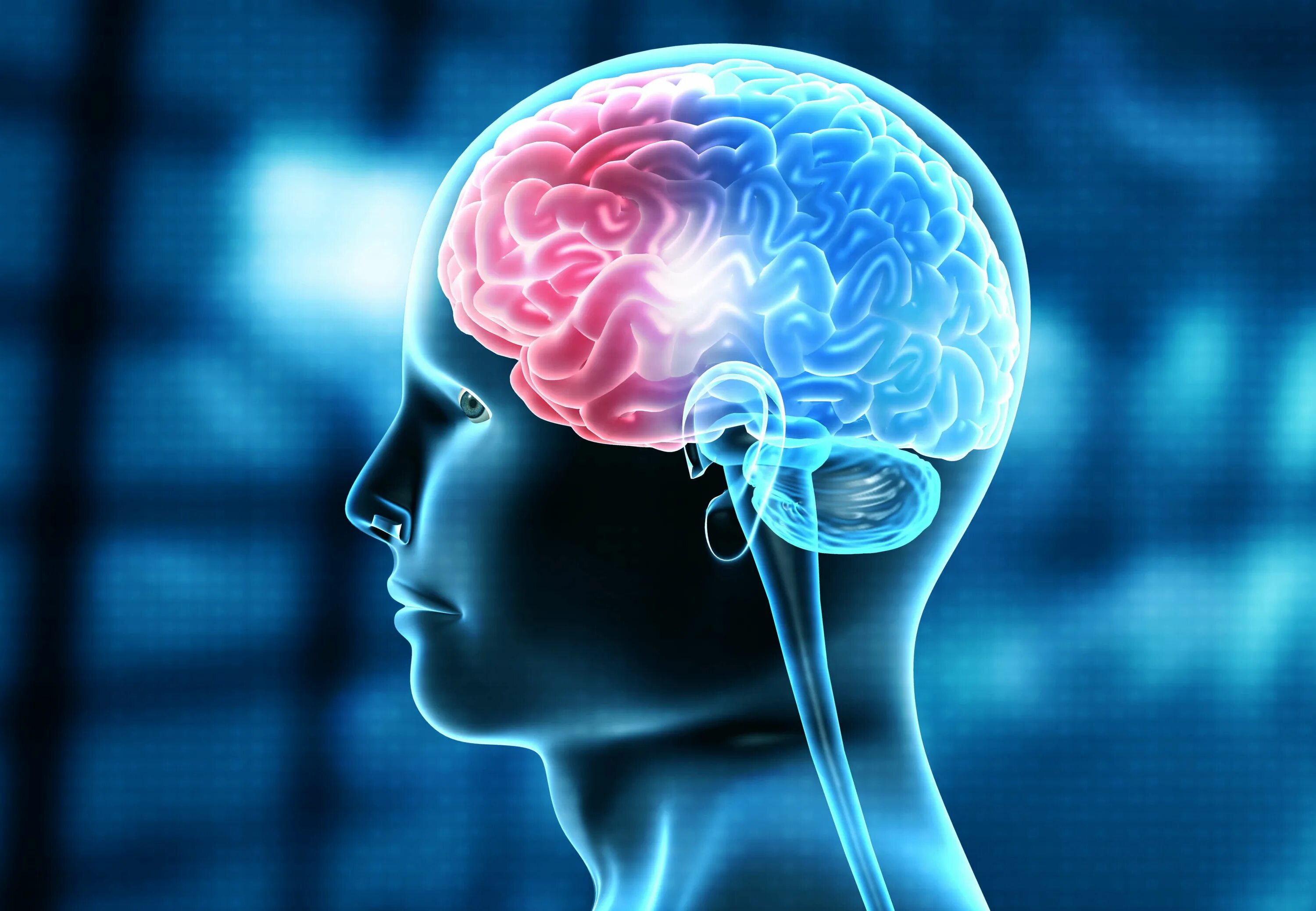 Мозг терапия купить. Головной мозг человека фото. Неврология.