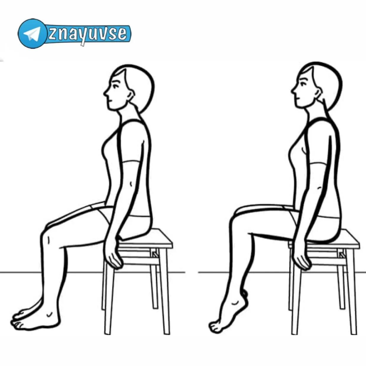 Упражнения сидя. Упражнения на стуле для ног. Упражнения для ног сидя. Сидя на стуле.