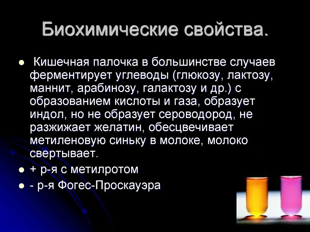 Качество пестр. Биохимические свойства кишечной палочки микробиология. Биохимические характеристики e/ coli. E coli биохимические свойства. Биохимическая активность кишечной палочки.