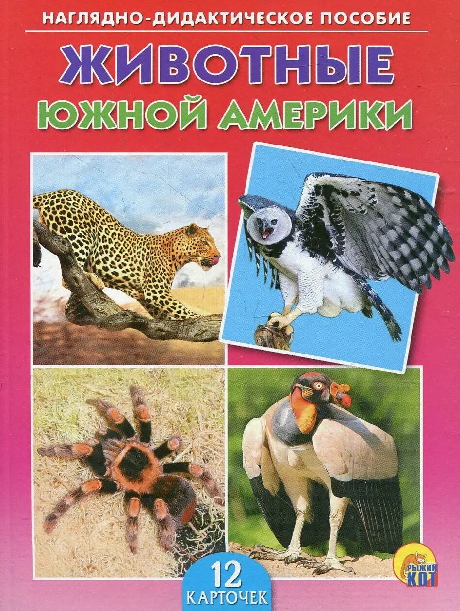 Кто живет в южной америке животные. Животныеюжноц Америки. Животные южноной Америки. Карточки животные Южной Америки. Обучающие карточки животные Южной Америки.