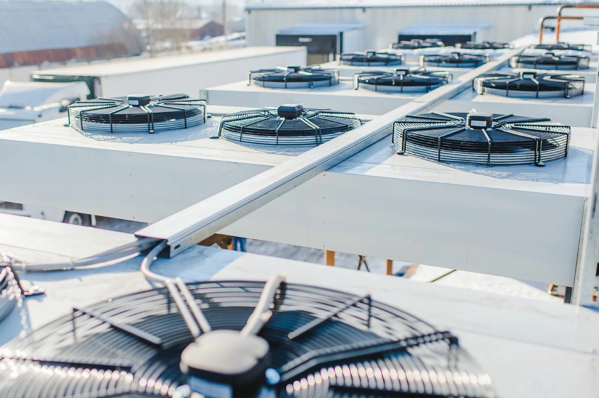 витрины из бочек. производство холода. система холодоснабжения. емкость под соленья для витрины. боксы для созревания евроблоков.