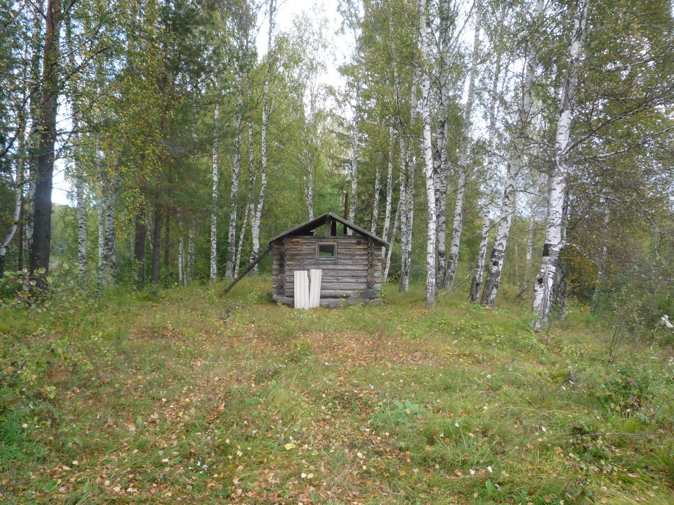 Погода в тевризском районе омской бородинка. Погода в тевризском районе омской бородинка