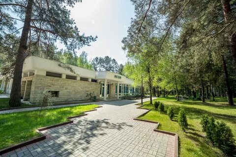 Белоруссия санатории сосны минская область