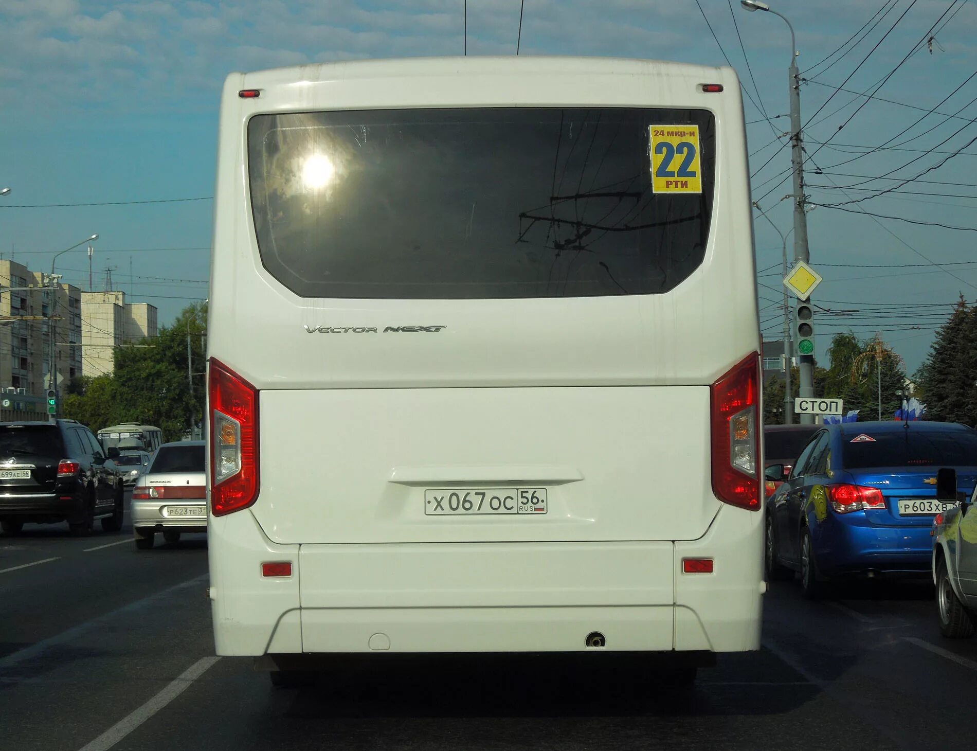 ПАЗ 3204 задний борт. ПАЗ 3204 зад. ПАЗ 3204 Некст.