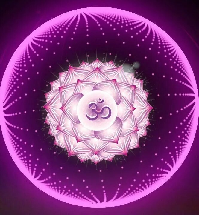 Мандала 7. Латифом висенте аргентина мандала. Мандала 7. Мандала любви и отношений. Тысячелепестковый лотос мандала.